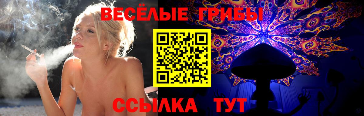 Псилоцибиновые грибы прущие грибы Люберцы